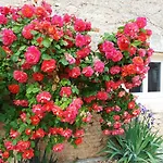 De Charme - 3 Chambres, 5 Lits - De 4 A 7 Personnes Holiday home