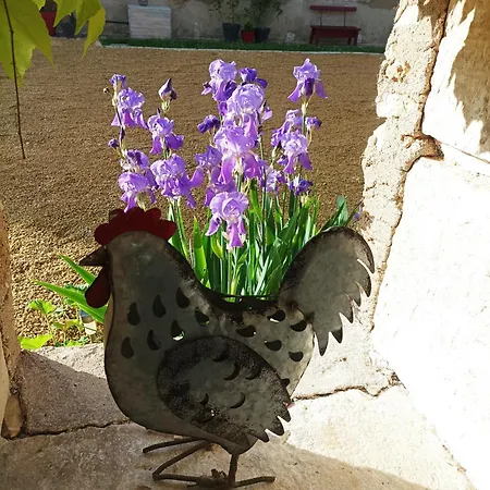 De Charme - 3 Chambres, 5 Lits - De 4 A 7 Personnes Vakantiehuis *