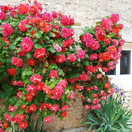 De Charme - 3 Chambres, 5 Lits - De 4 A 7 Personnes Vakantiehuis